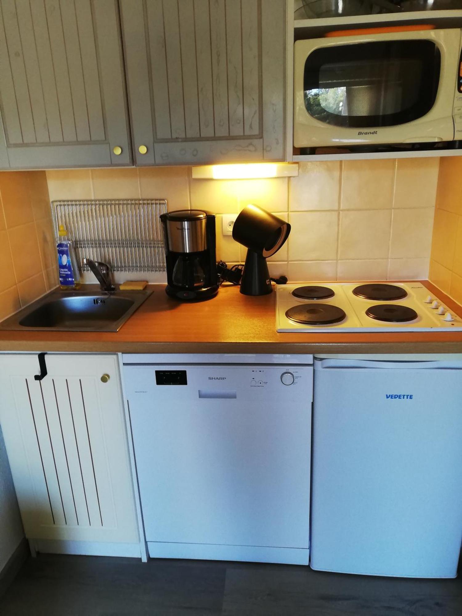 Rdc Pied Des Pistes Apartment Bolquere Pyrenees 2000